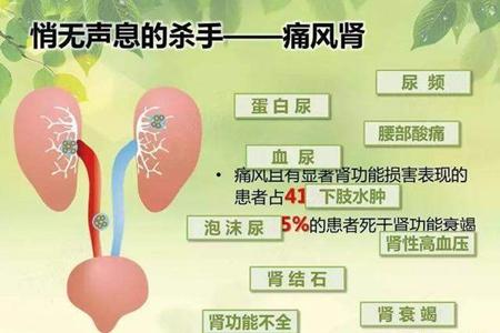 长期痛风恐得肾病,规律用药调整饮食