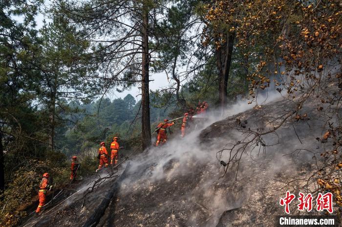 西藏自治区森林消防总队消防员进入林中灭火。　李国焘 摄