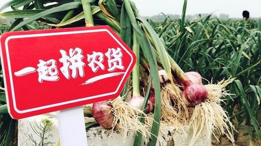 拼多多“廉价商品”背后的套路,让同行和买家防不胜防!