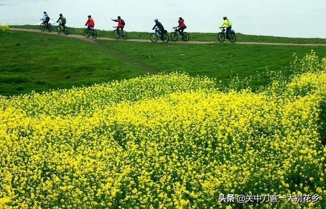 家庭教育的三个关键词:陪伴、阅读和习惯