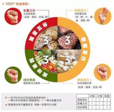减肥的人每天应该怎么吃?
