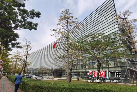 图为深圳市规划和自然资源局。摄影:郑小红