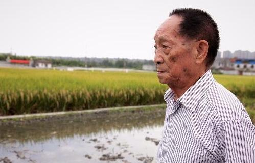 深度育儿教育:让你花最少的时间彻底弄明白育儿教育