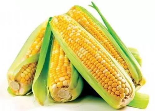 公认的10大刮脂、低卡食物,加入你的减脂餐,提高减肥速度!