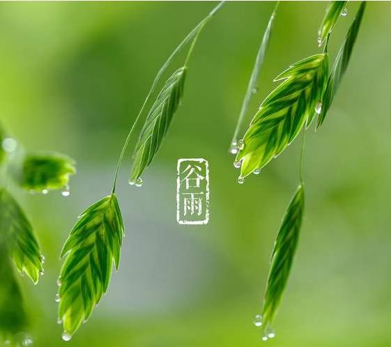 舒心减压微课堂(五十八):谷雨至,食补正当时