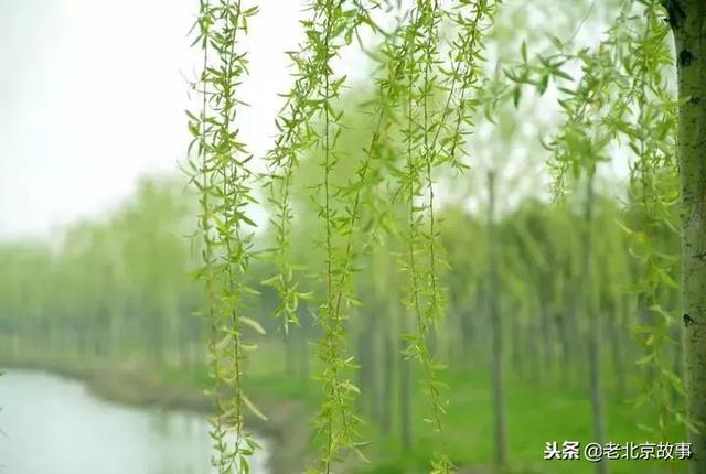 北京必吃的19种美食!都吃过的才是地道北京人~