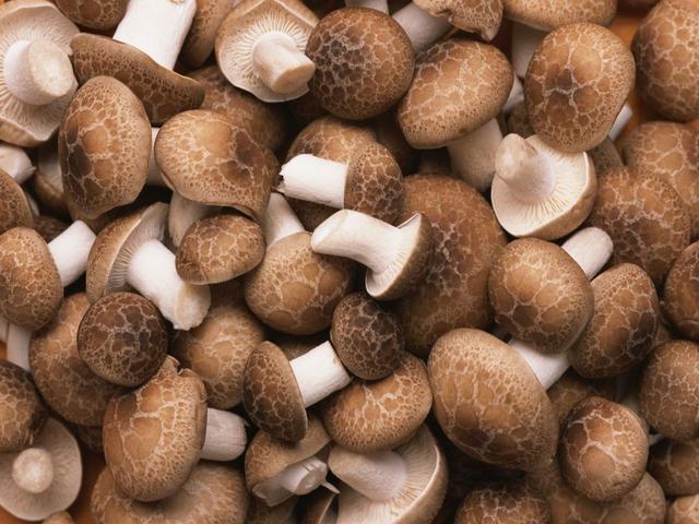 5种菇的养生功效