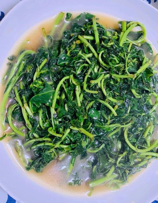 家里养盆枸杞,满树挂满红果子,泡茶煮粥特养生