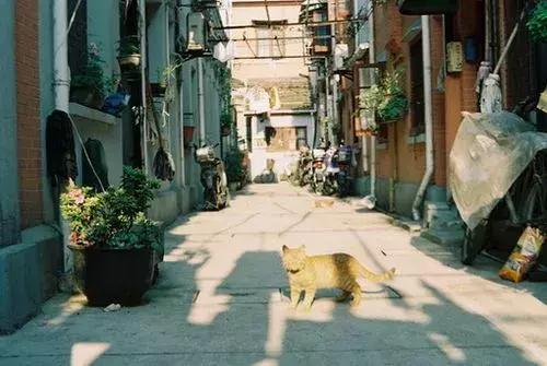 畅问旅游|一场旅行、一段浪漫时光