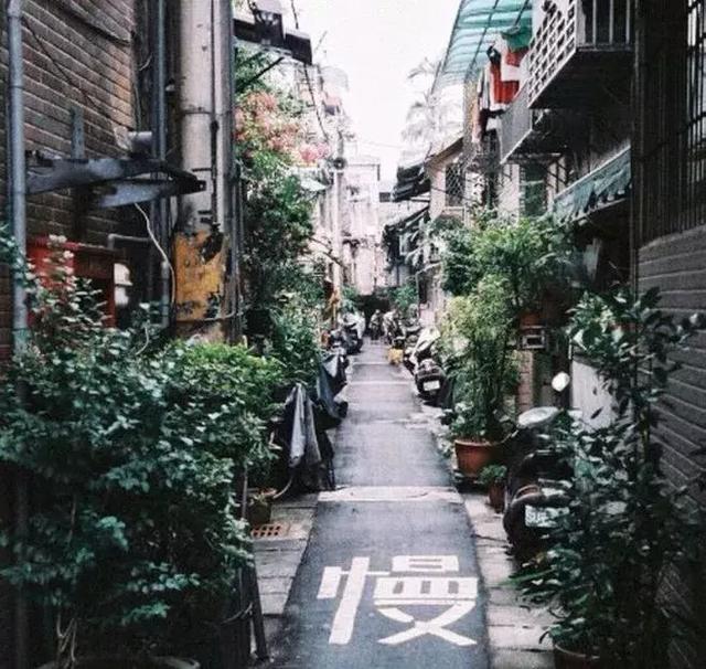畅问旅游|一场旅行、一段浪漫时光
