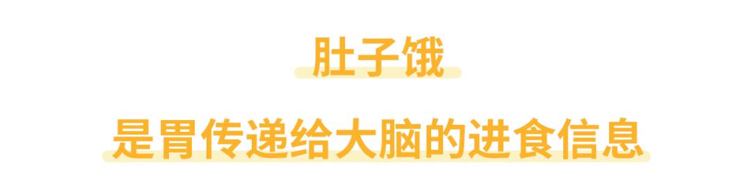 想减肥又不想饿肚子?这么吃让你两全其美