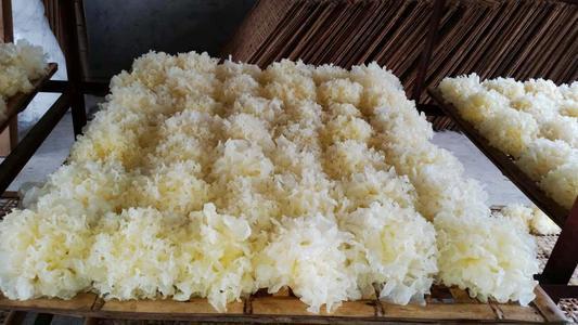 春季口干、舌苔发黄吃什么?早餐吃银耳,润肺养胃、滋补生津