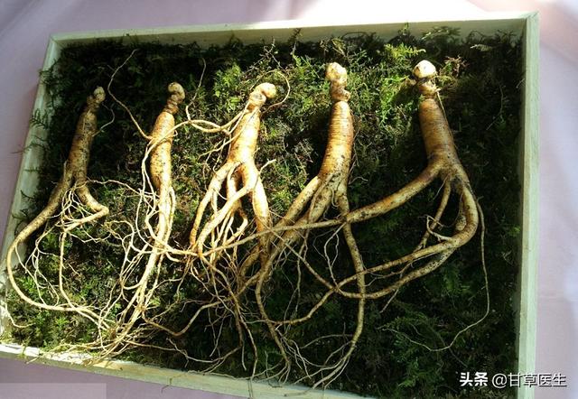 这些养生行为等于慢性自杀,中医告诉你如何正确养生