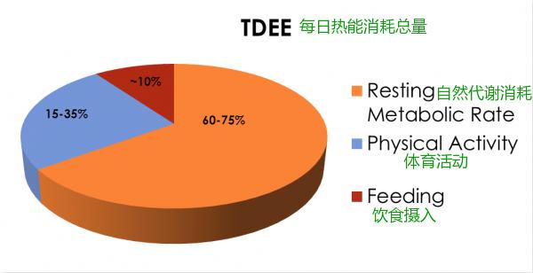 制订适合自己的健身餐，只需简单三个步骤