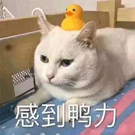 最适合中国人的健身餐,减脂又增肌