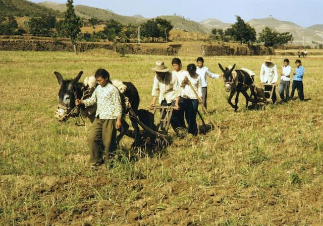 1949年选首都,共11个城市候选,为什么最终定了北京?