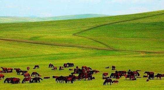 内蒙古12个旅游景点不容错过！