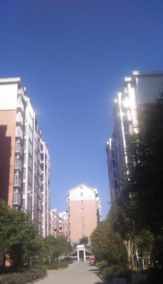 五年首次!一线楼市全面下跌,透露什么信号?
