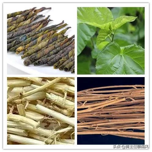 盛夏来袭,这六款养生茶,好喝还健康!