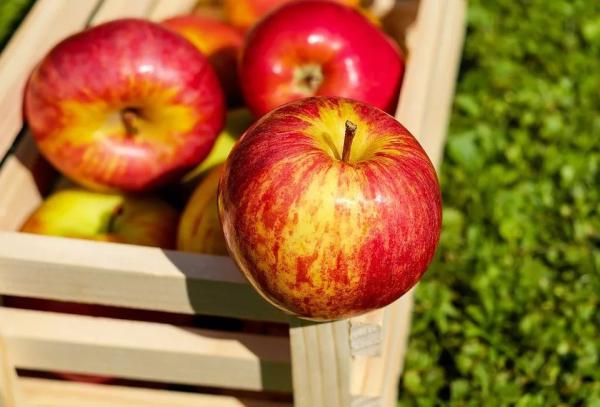 香蕉、苹果、樱桃…并不是吃的越多越好！专家教你春天选水果