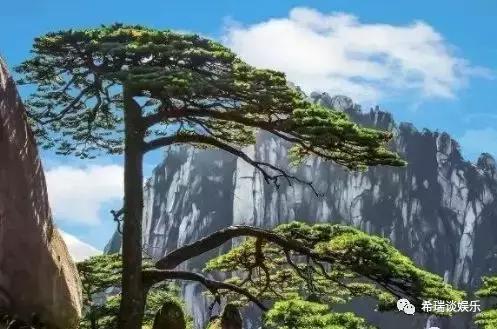 中国“好玩的”8大旅游景点,你是否都去过呢?
