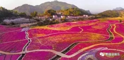 中国“好玩的”8大旅游景点,你是否都去过呢?