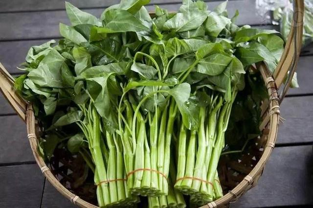 夏季时令蔬菜:冬吃萝卜夏吃姜。在对的时间,吃对的蔬菜