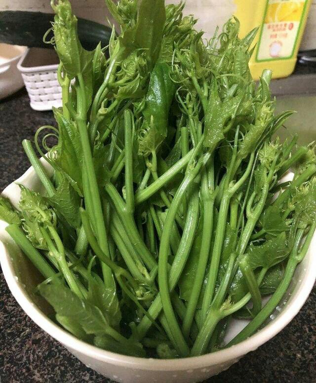 夏季时令蔬菜:冬吃萝卜夏吃姜。在对的时间,吃对的蔬菜
