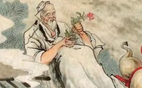 搞点“黄精糕”吃吃吧,换种方法吃“仙药”黄精