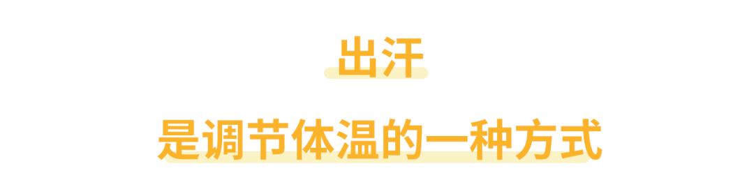 爱出汗是身子虚要大补?小心越补汗越多!