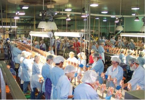 美国肉类加工业已有超1万名工人染疫。(图源:今日美国)