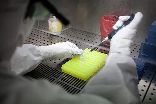 实验室技术人员在处理埃博拉病毒样本。
