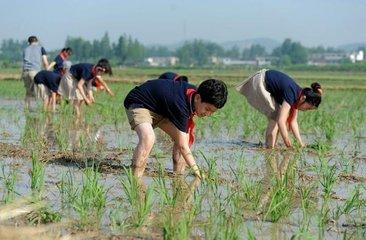 当下教育最缺什么?学校教育不能只剩下功利教育