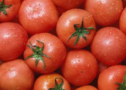 西红柿生吃和熟吃到底哪个好？失之毫厘，差之千里，好好看看