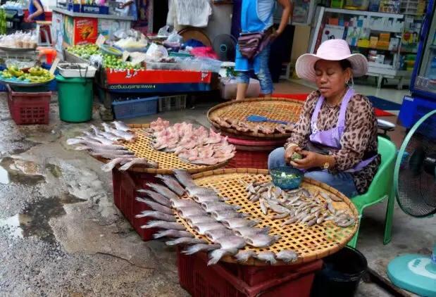 为什么泰国很多家庭不做饭?甚至连厨房都没有,逛完菜市场明白了