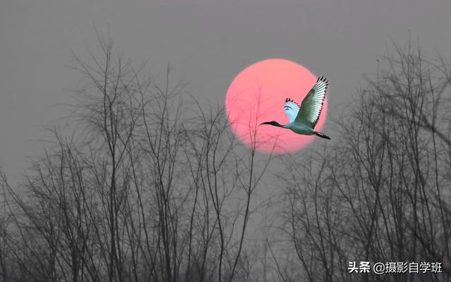 简单实用摄影技巧4个,不再羡慕别人照片好看,学了你也能拍大片