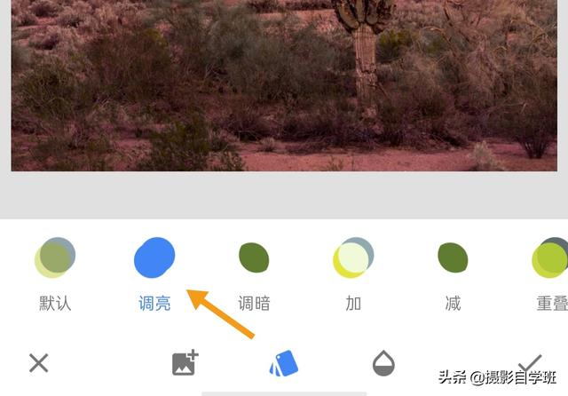 简单实用摄影技巧4个,不再羡慕别人照片好看,学了你也能拍大片
