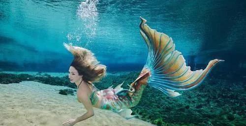 美国最牛的水族馆,养了一条“美人鱼”,吸引大量游客来欣赏!