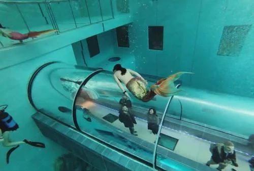 美国最牛的水族馆,养了一条“美人鱼”,吸引大量游客来欣赏!