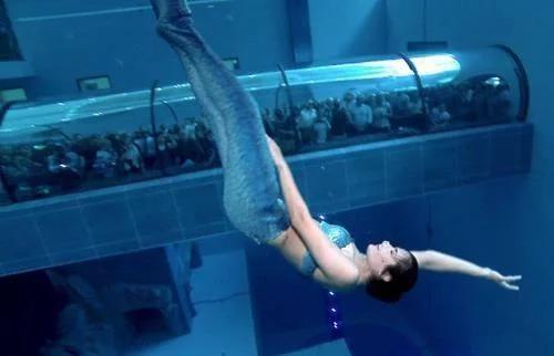 美国最牛的水族馆,养了一条“美人鱼”,吸引大量游客来欣赏!