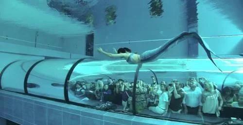 美国最牛的水族馆,养了一条“美人鱼”,吸引大量游客来欣赏!