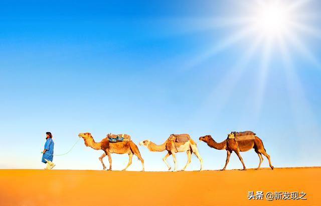全球25个“十大”世界顶级旅游胜地随你挑