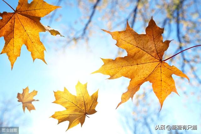 爸,你花60万买块破地干啥?养老啊 10年后我们悔不当初