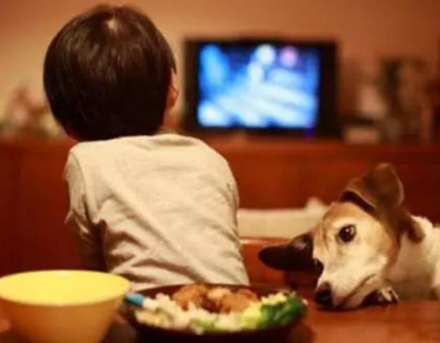 “看电视”和“不看电视”的孩子，长大后差距很大，家长需早重视