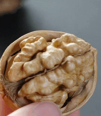 相见恨晚的5种新疆特产,舌尖的享受,尝过就难忘,你吃过几种?