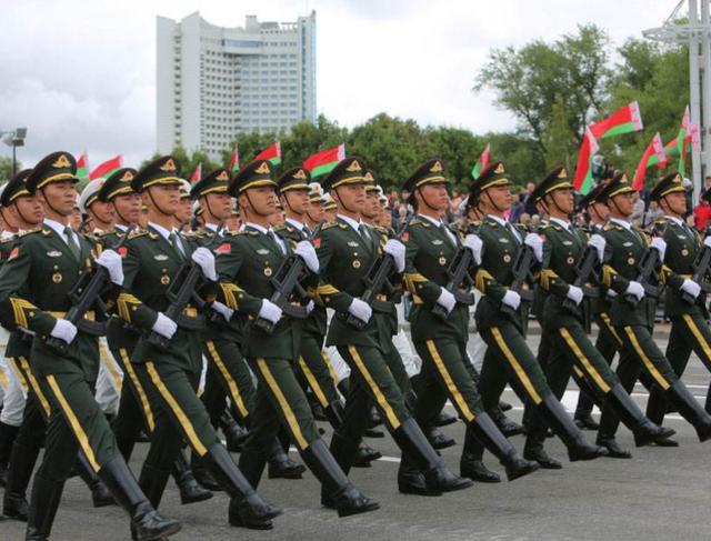 英国媒体:中国人简直是有毒,连绵羊都训练的跟军队一样
