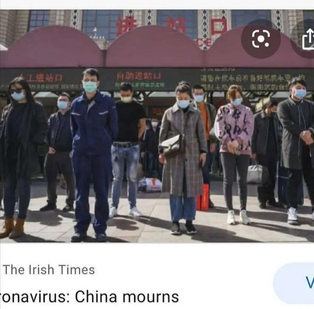 曲婉婷:母亲贪污3.5亿判死缓,自己国外当小三,近日又“作妖”