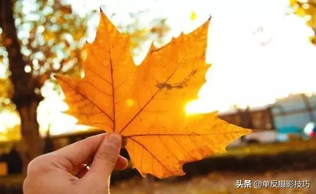 7个手机拍照技巧,让你的照片美翻天