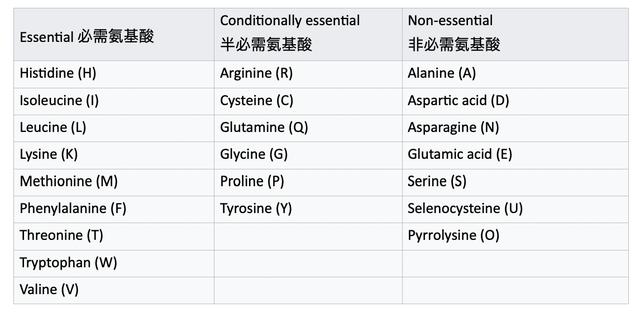 什么是必需氨基酸？