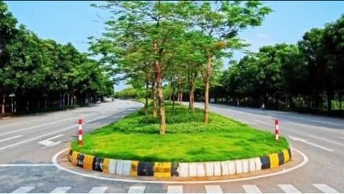 为何中国大面积搞"绿化带",欧洲国家几乎没有?今天终于明白了